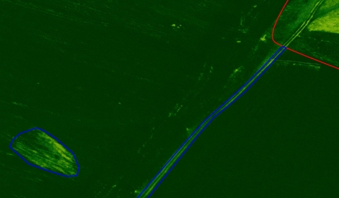 Реальный снимок и представление NDVI участка угнетенной растительности и не учтенной дороги внутри поля
